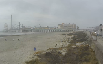 Murdoch's Live Cam Galveston, Texas - Beach View