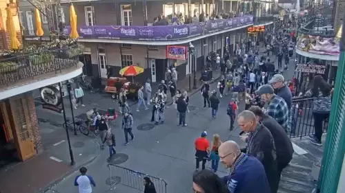 mardi gras cam new orleans