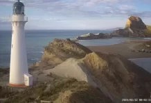 Castlepoint Lighthouse Live Webcam Wellington, New Zealand
