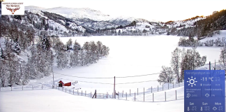 Bryggja Norway Live Webcam - Nordfjordhjort | Hd Video