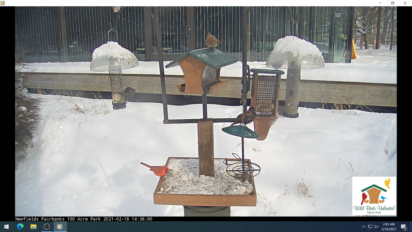 Live Webcam Virginia B. Fairbanks Art and Nature Park