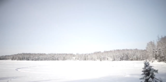 Willow Alaska Live Stream Webcam