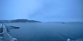 Norway Trondheim Port Live Stream Webcam New