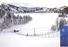 Nordfjord Hjort Live Webcam Deer In Nave, Bryggja, Norway