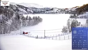 Nordfjord Hjort Live Webcam Deer In Nave, Bryggja, Norway