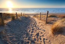 Renesse Aan Zee Beach Live Webcam - Netherlands