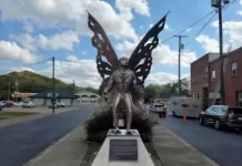 Mothman Live Webcam New In Point Pleasant, West Virginia