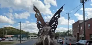 Mothman Live Webcam New In Point Pleasant, West Virginia