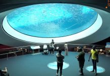 Gulf Stream Aquarium Live Webcam New Miami, Florida