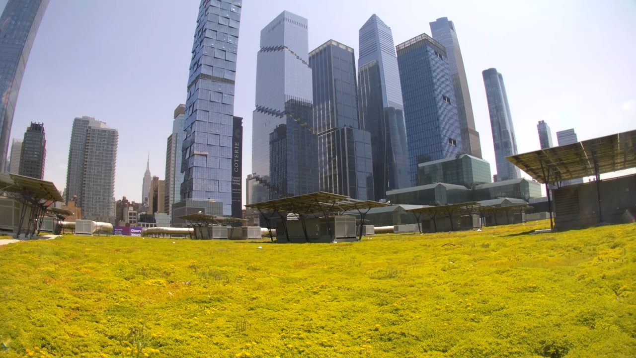 Javits Center Live Webcam – Manhattan, New York