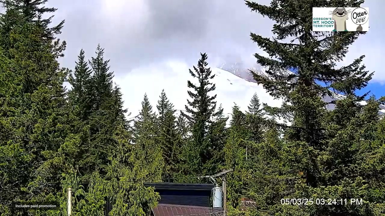 Timberline Lodge Live Webcam Mt Hood, Oregon, USA