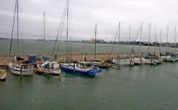 Galveston Marina & Yacht Basin Live Cam Stream New