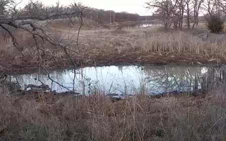 Jack County, TX Wildlife Cam