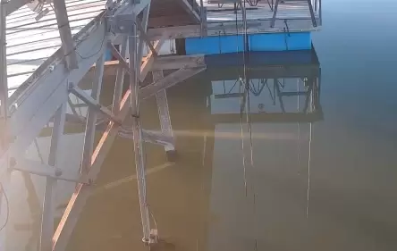 Catfish & Crappie Fish Live Webcam – Jack County, TX