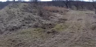 Live Deer Hunting Webcam Stream New