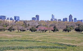 Dorothea Dix Park