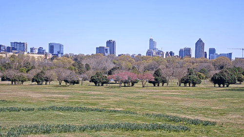 Dorothea Dix Park, Raleigh NC