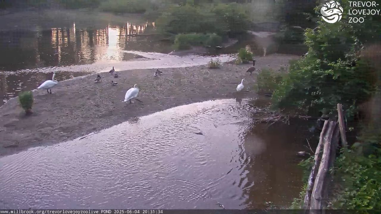 Trevor-Lovejoy Zoo at Millbrook School – Millbrook, NY