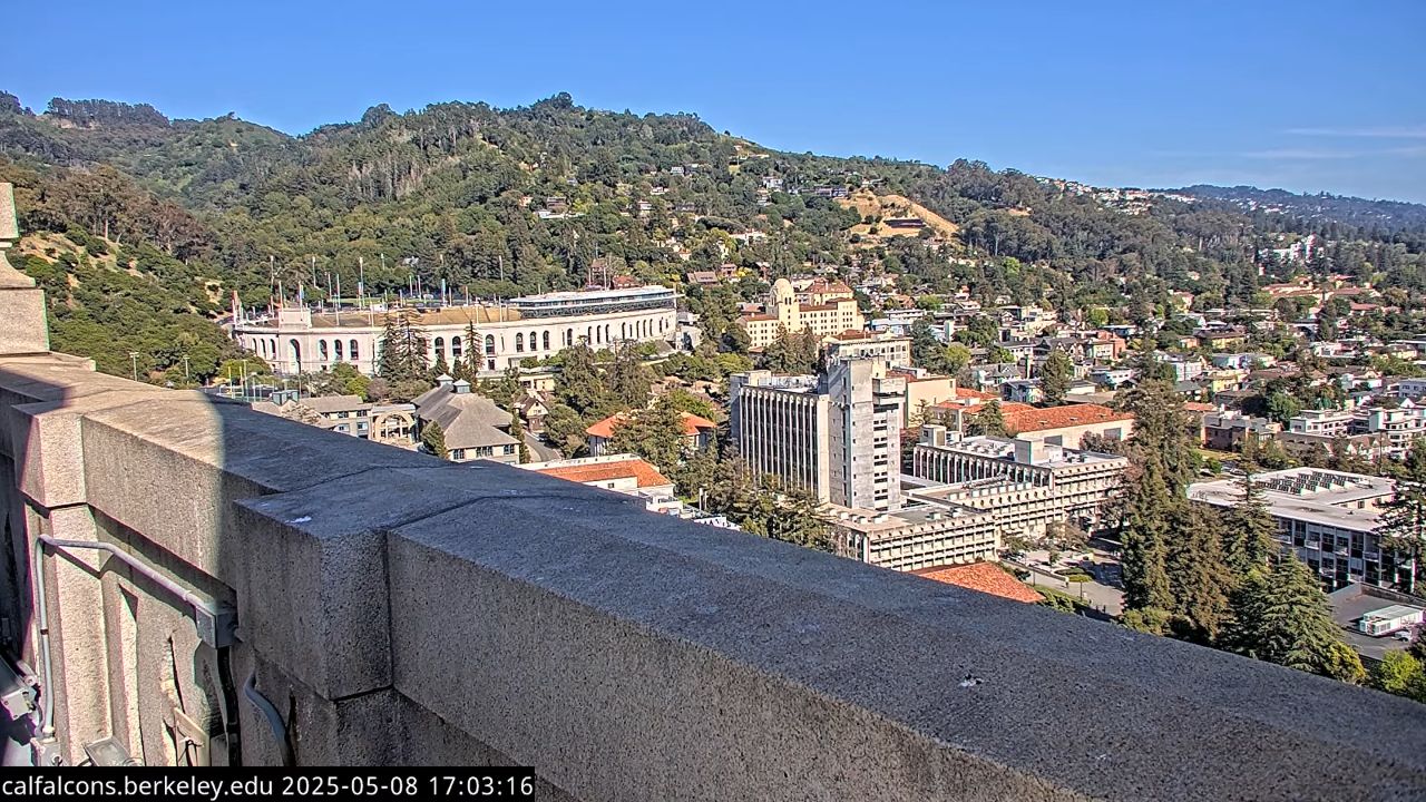 UC Berkeley Live Webcam, California
