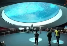 Gulf Stream Aquarium Live Webcam New Miami, Florida
