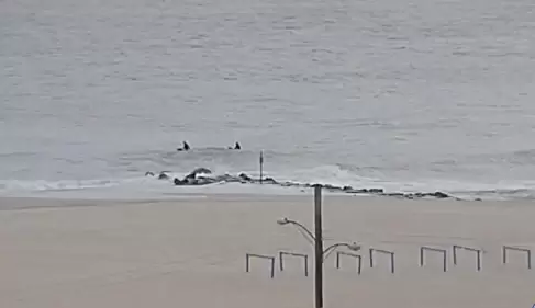 live cam cape may new jersey