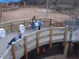 Cheyenne Mountain Live Webcam New Colorado Springs, Colorado