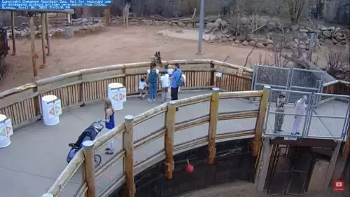 Cheyenne Mountain Webcam Colorado Springs | Live Video