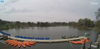 Boathouse At Forest Park Live Cam - St Louis, Missouri