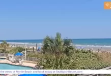 Live Cam Myrtle Beach At The Sea Watch Resort New South Carolina