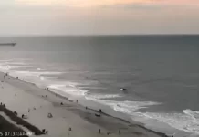 Ocean Boulevard Live Webcam New In South Carolina