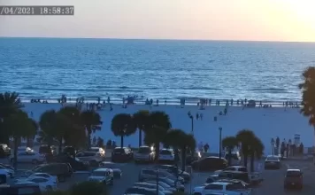 Hilton Clearwater Beach Live Webcam New In Florida, Usa