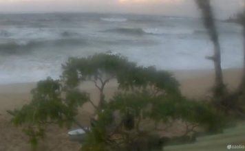 Live Paia, Hawaii Webcam New San Lorenzo Bikinis Maui