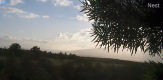 Live Webcam West Maui Mountains & New Pukalani Pastures