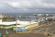 Westport, Washington Live Webcam Stream New