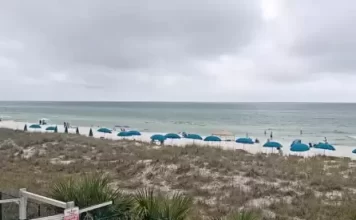 Panama City Beach Live Webcam New Moonspinner  Condos