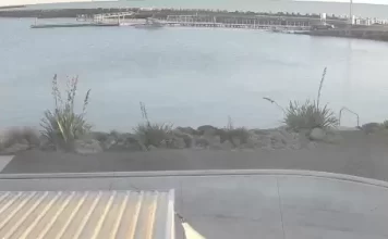 New Plymouth Sport Fishing Underwater Club Live Webcam