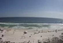 Panama City Beach Live Webcam New Florida, Usa