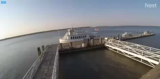 Ferry Landing Live Webcam New Hilton Head, South Carolina