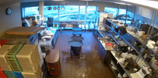 Live Kitchen Cam 1 Dauphin’s Casual Fine-dining  Mobile, Alabama