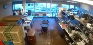 Live Kitchen Cam 1 Dauphin’s Casual Fine-dining New In Mobile, Alabama