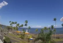 Island Of Hawaii Live Webcam New Hilo
