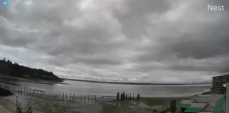 Shilshole Bay Live Webcam New In Seattle, Washington