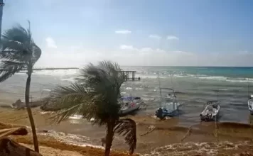 Playa Del Carmen Pier Live Webcam New Quintana Roo, Mexico