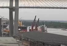 Savannah River Bridge Live Webcam New In Savannah, Georgia