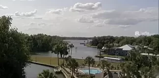 Crystal River Live Webcam New In Florida, Usa