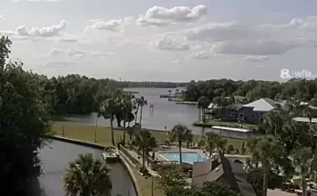 Crystal River Live Webcam New In Florida, Usa