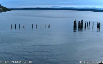 Shilshole Bay Live Webcam Seattle, Washington