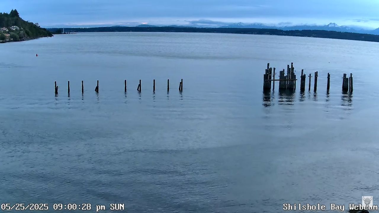 Shilshole Bay Live Webcam – Seattle, Washington