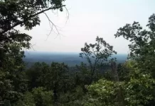 Live Webcam Greenville, South Carolina New Paris Mountain