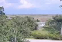 North Inlet-winyah Bay Live Webcam New Research Reserve
